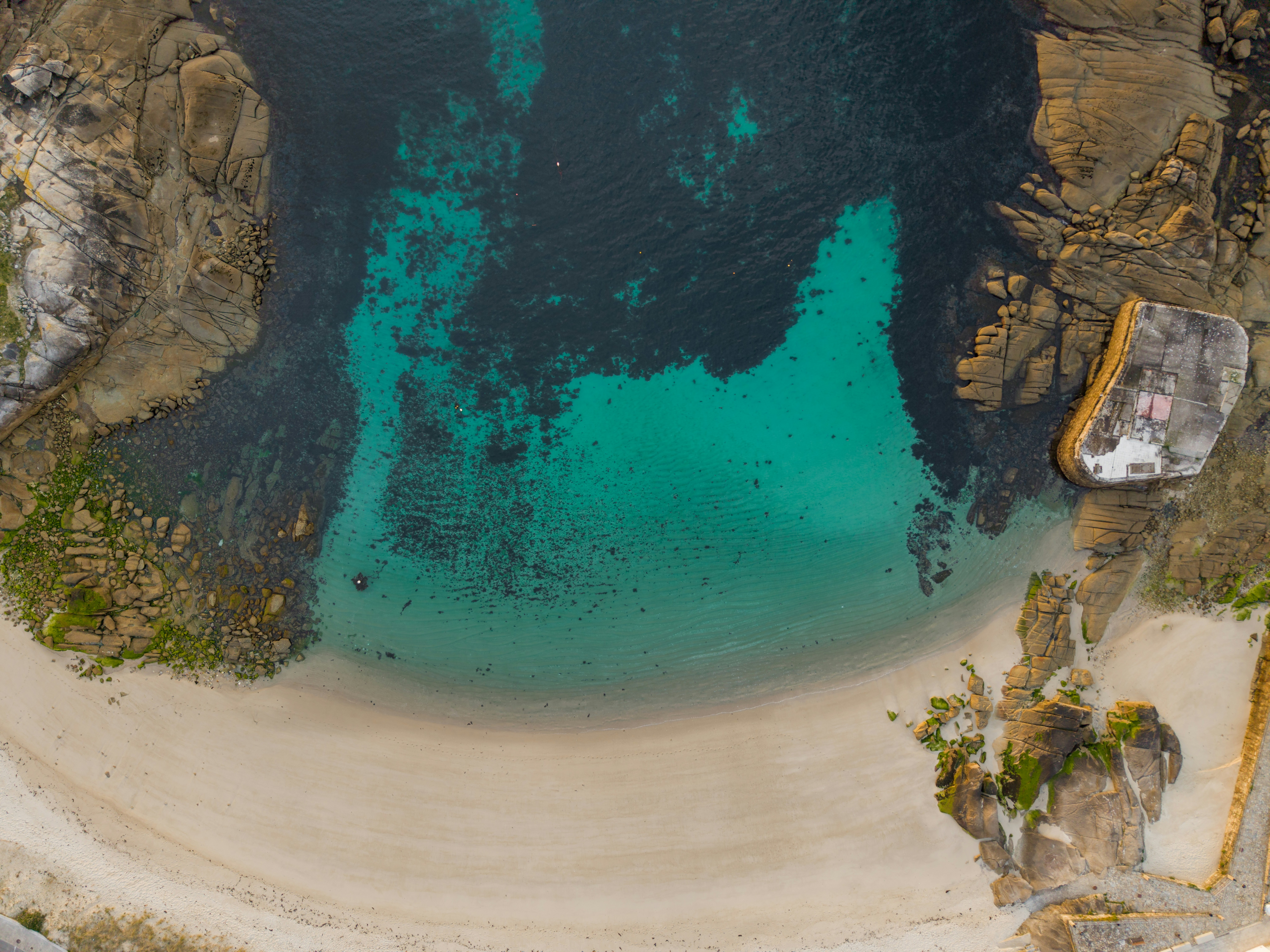 beautiful top down view of a beach and turquoise water